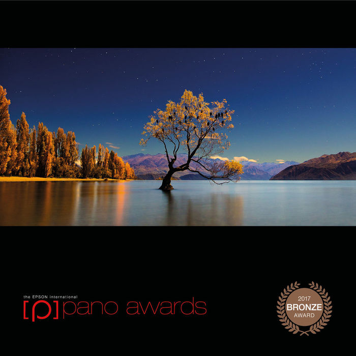 International Epson 2017 Pano Awards Bronze