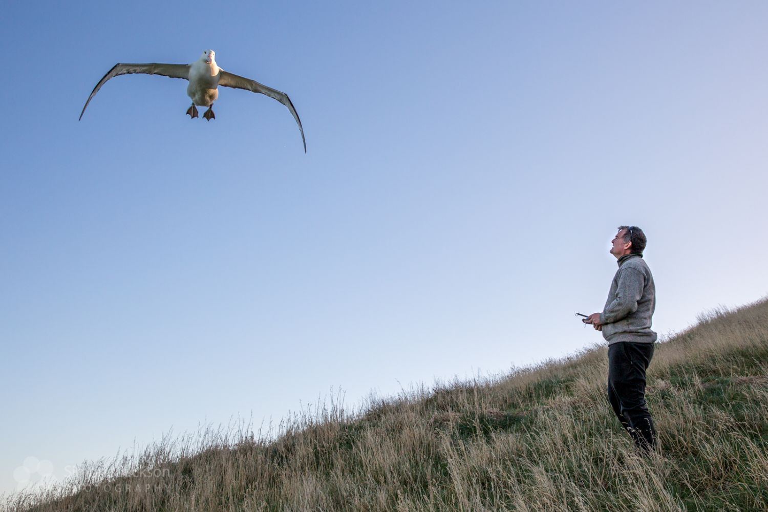 Life as a photographer on the Otago Peninsula