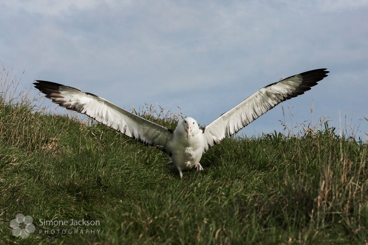 Balcutha Camera Club