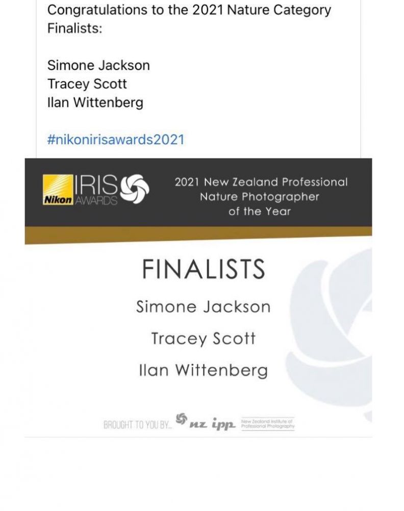 I'm a Finalist! - Blog