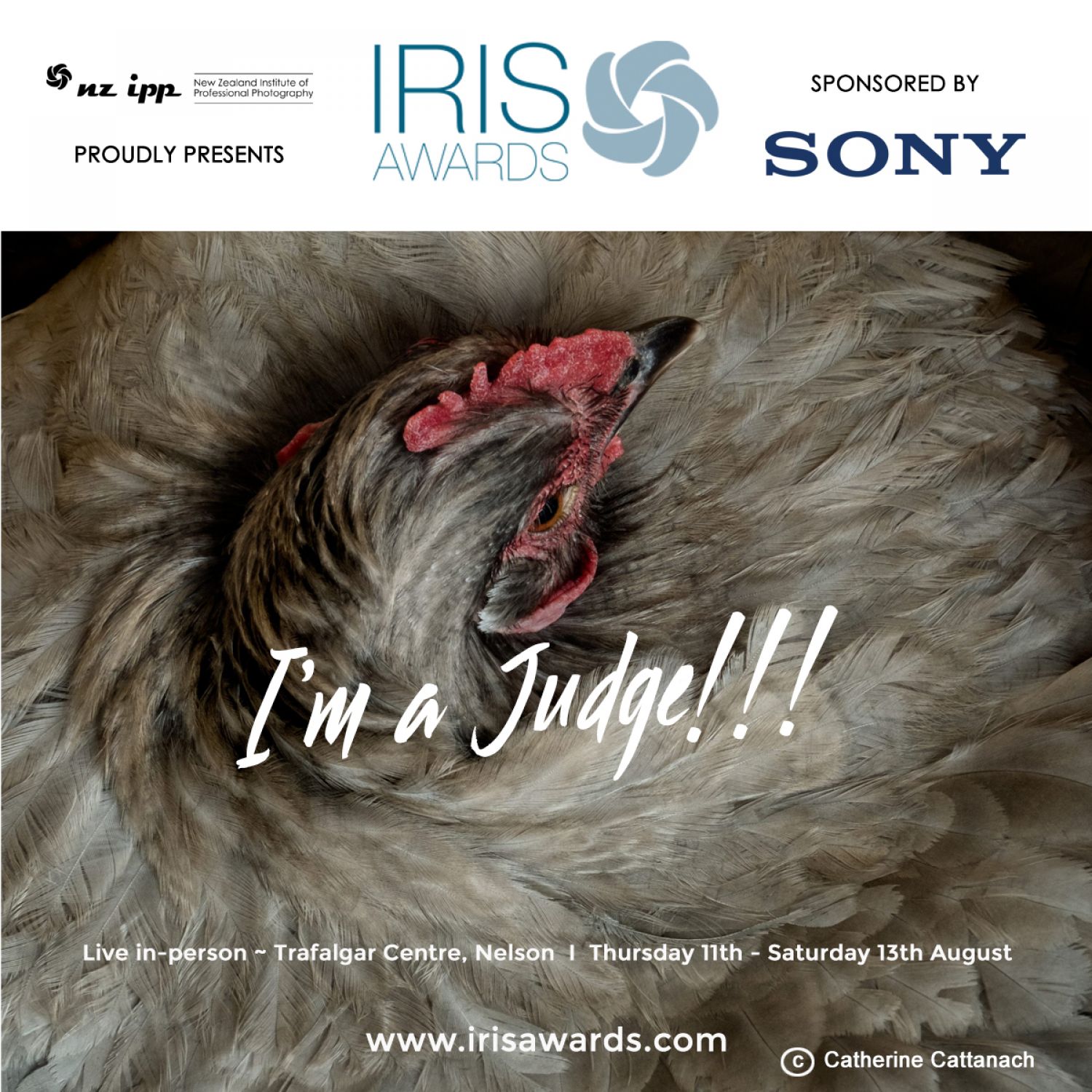 I'm a Judge for the Iris Awards! - Blog