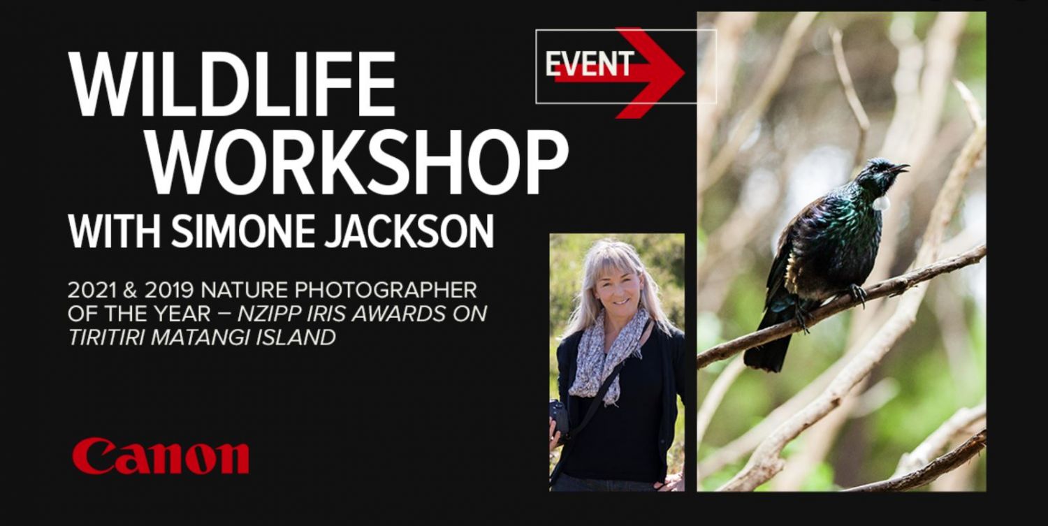 Nature Workshop - Tiritiri Matangi Island - Blog