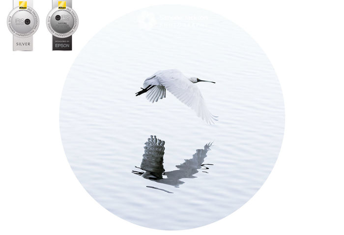2019 Nature Category winner - Portfolio of 4 2019 Nature Category winner - Portfolio of 4