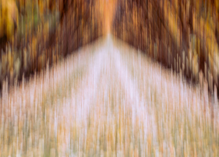 Autumn Lane Autumn Lane