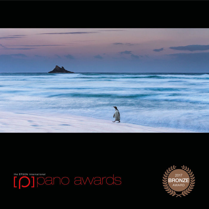 Intenational Pano Awards Bronze 2017