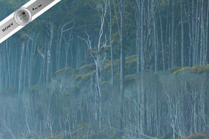 Silver - Finalist Landscape in Camera Photographer of the Year 2022 Silver - Finalist Landscape in Camera Photographer of the Year 2022