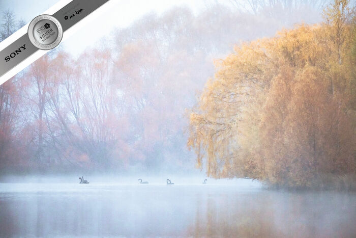 Silver with Distinction - Finalist 2022 Landscape in Camera Photographer of the Year Silver with Distinction - Finalist 2022 Landscape in Camera Photographer of the Year