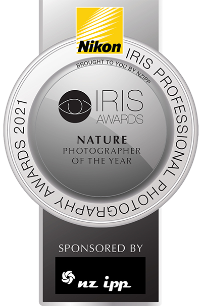 Iris award winner