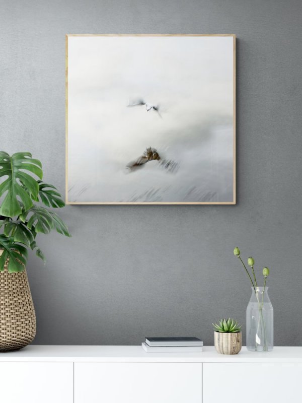 Gull in Flight - Slow Motion capture photographic print for sale