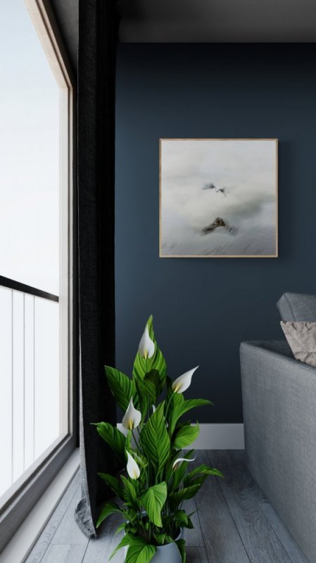 Gull in Flight - Slow Motion capture photographic print for sale