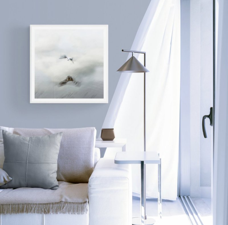 Gull in Flight - Slow Motion capture photographic print for sale