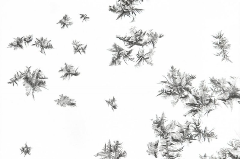 Snowflakes  photographic print for sale