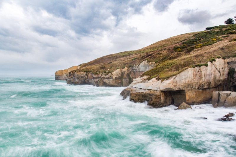 Tunnel Beach Cliffs  photographic print for sale