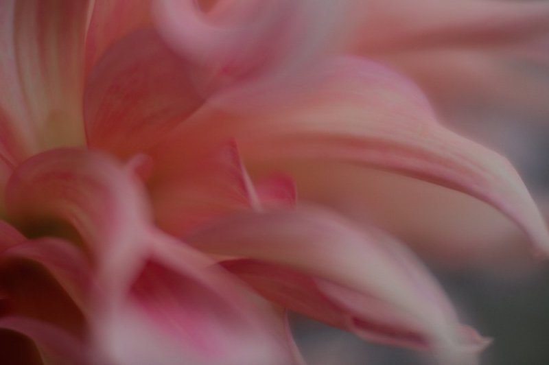 Dream away photographic print for sale