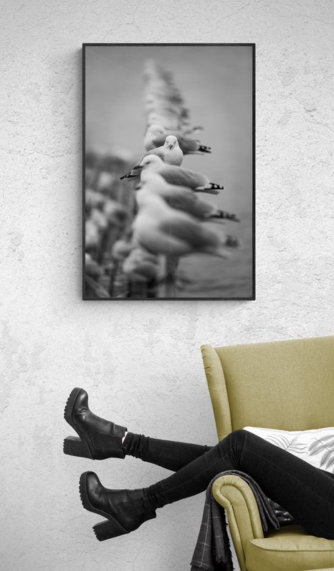 Beatnik Bird photographic print for sale