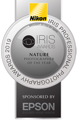 Iris award winner